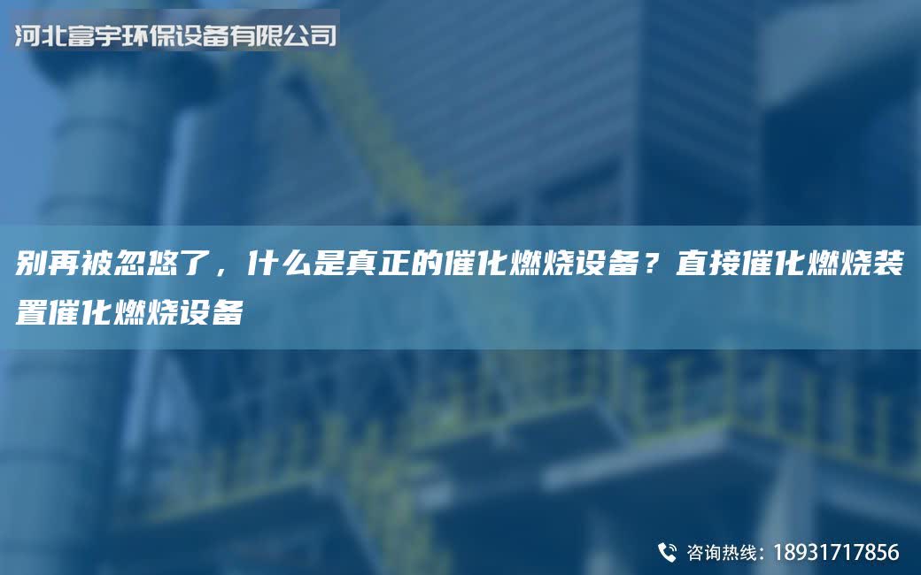 別再被忽悠了，什么是真正的催化燃燒設備？直接催化燃燒裝置催化燃燒設備