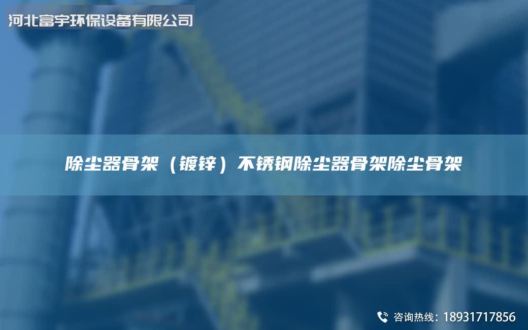 除塵器骨架（鍍鋅）不銹鋼除塵器骨架除塵骨架