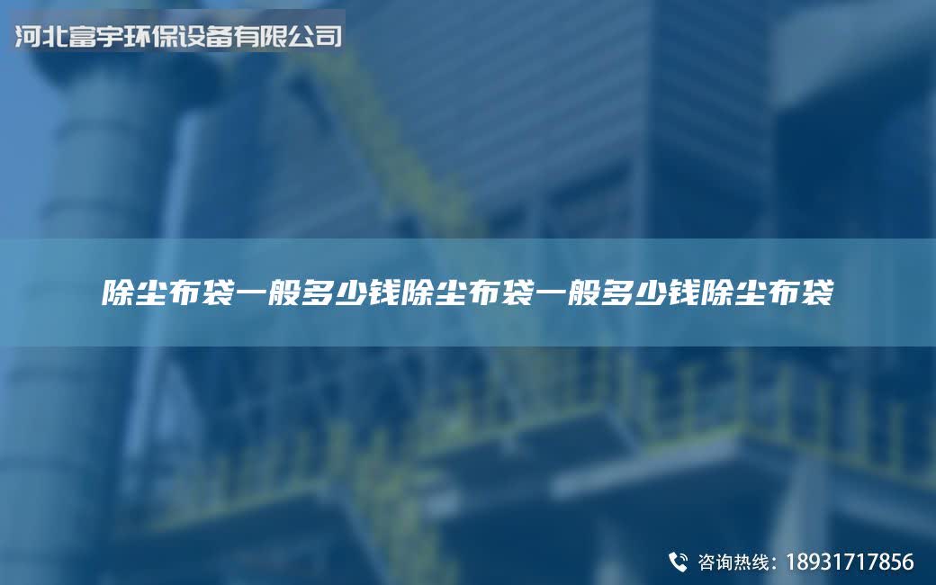 除塵布袋一般多少錢除塵布袋一般多少錢除塵布袋