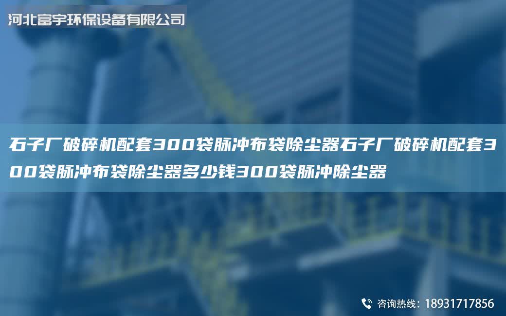 石子廠破碎機配套300袋脈沖布袋除塵器石子廠破碎機配套300袋脈沖布袋除塵器多少錢300袋脈沖除塵器