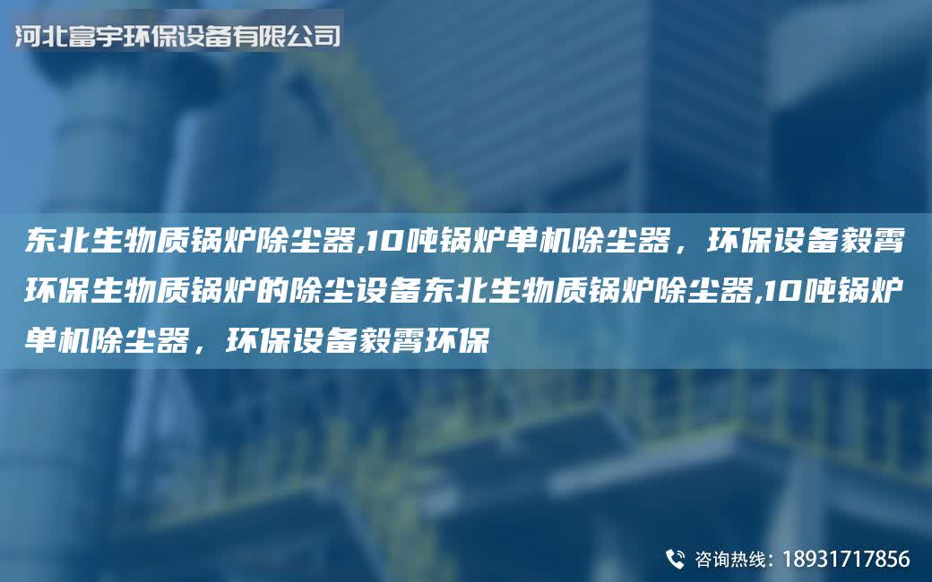 東北生物質鍋爐除塵器,10噸鍋爐單機除塵器，環保設備毅霄環保生物質鍋爐的除塵設備東北生物質鍋爐除塵器,10噸鍋爐單機除塵器，環保設備毅霄環保