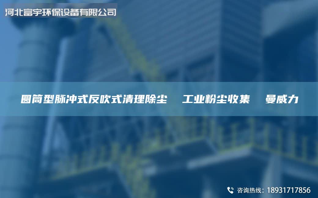 圓筒型脈沖式反吹式清理除塵  工業(yè)粉塵收集  曼威力