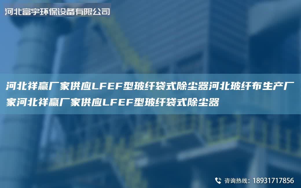 河北祥贏廠家供應LFEF型玻纖袋式除塵器河北玻纖布生產廠家河北祥贏廠家供應LFEF型玻纖袋式除塵器