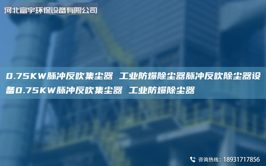 0.75KW脈沖反吹集塵器 工業防爆除塵器脈沖反吹除塵器設備0.75KW脈沖反吹集塵器 工業防爆除塵器
