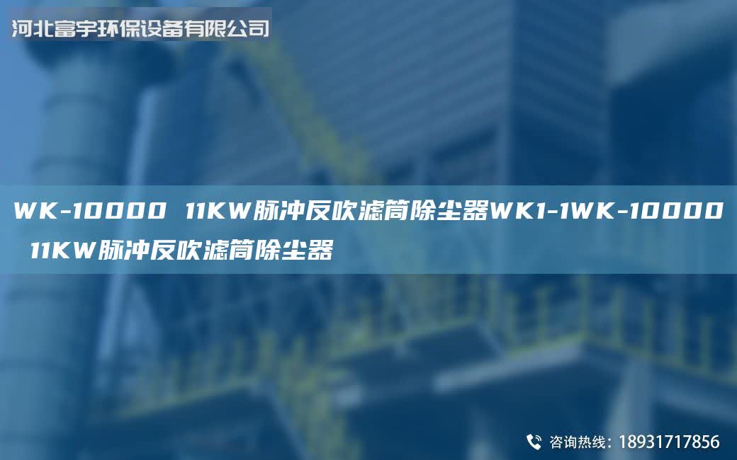 WK-10000 11KW脈沖反吹濾筒除塵器WK1-1WK-10000 11KW脈沖反吹濾筒除塵器