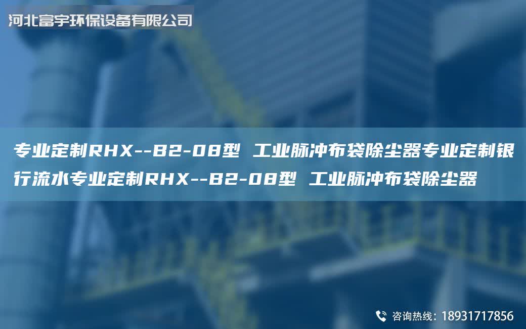 專業定制RHX--B2-08型 工業脈沖布袋除塵器專業定制銀行流水專業定制RHX--B2-08型 工業脈沖布袋除塵器