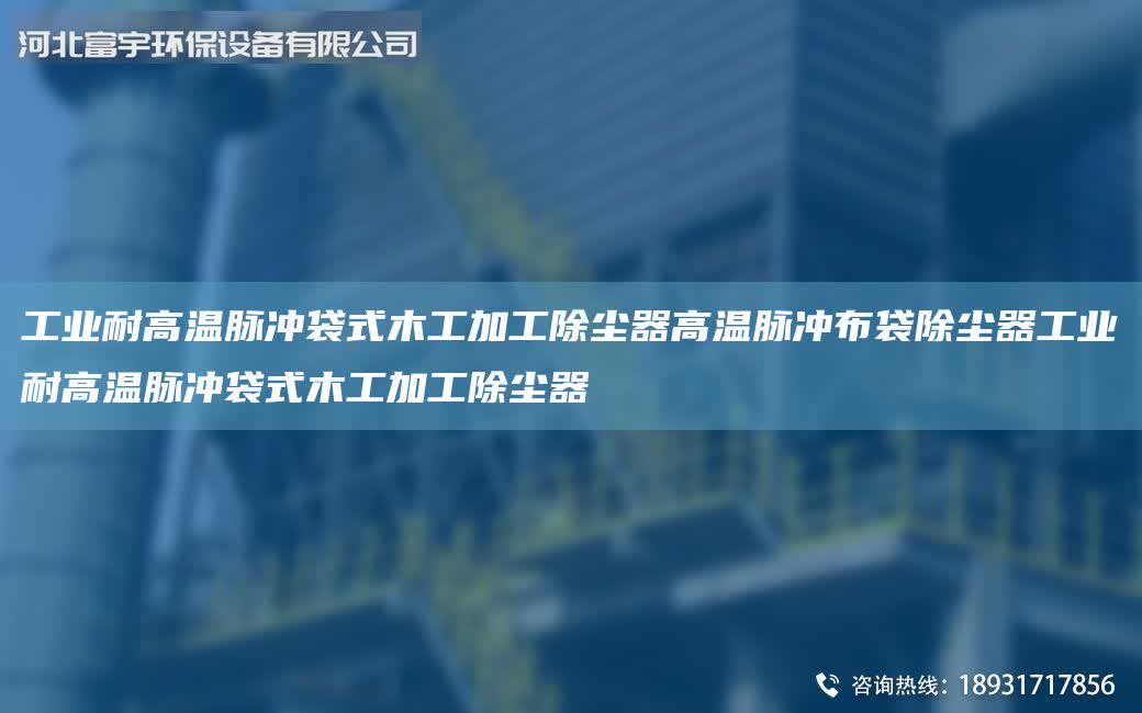 工業耐高溫脈沖袋式木工加工除塵器高溫脈沖布袋除塵器工業耐高溫脈沖袋式木工加工除塵器
