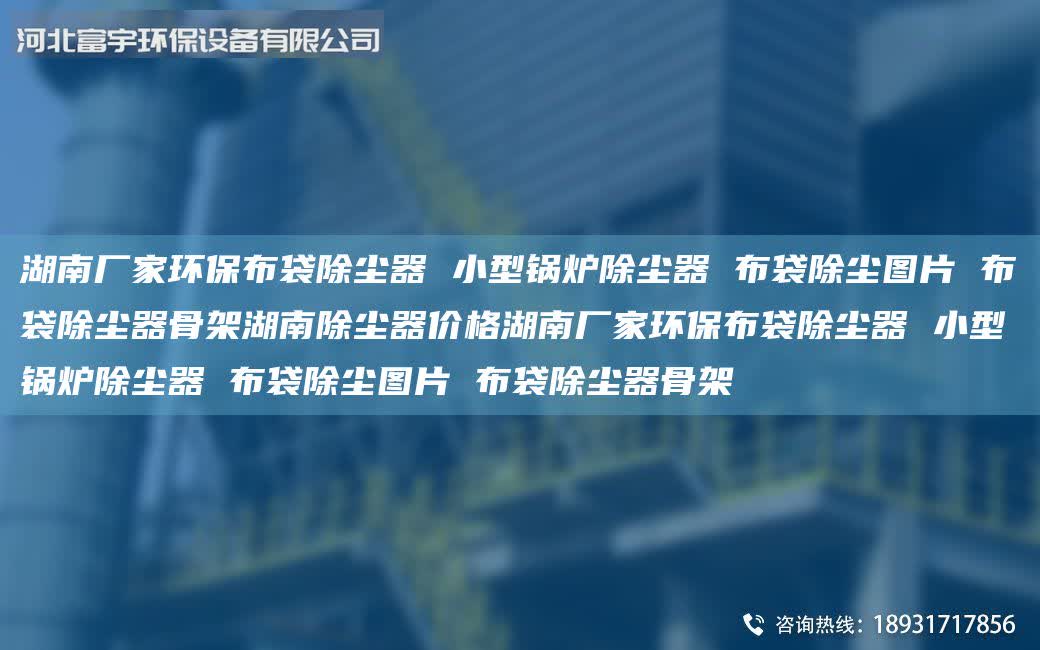 湖南廠家環保布袋除塵器 小型鍋爐除塵器 布袋除塵圖片 布袋除塵器骨架湖南除塵器價格湖南廠家環保布袋除塵器 小型鍋爐除塵器 布袋除塵圖片 布袋除塵器骨架