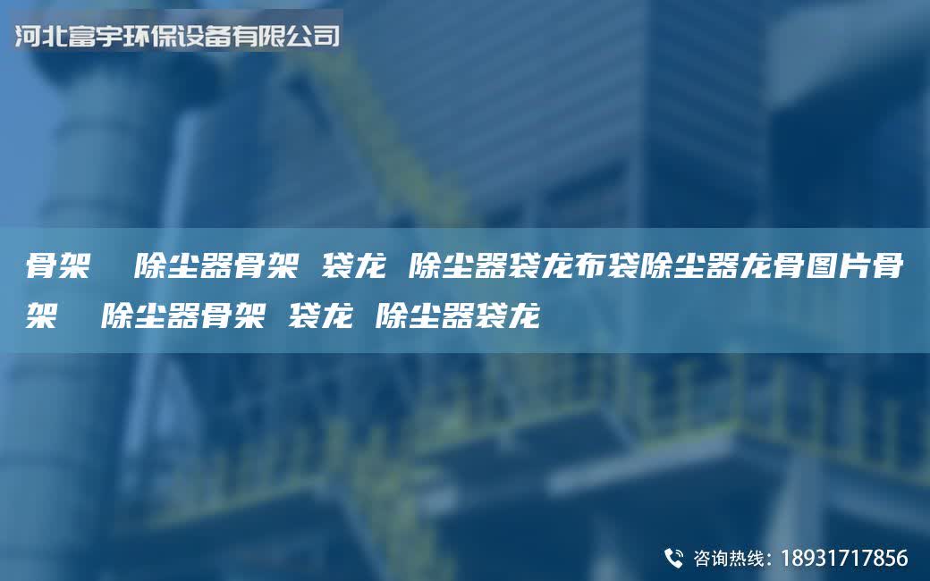 骨架  除塵器骨架 袋龍 除塵器袋龍布袋除塵器龍骨圖片骨架  除塵器骨架 袋龍 除塵器袋龍