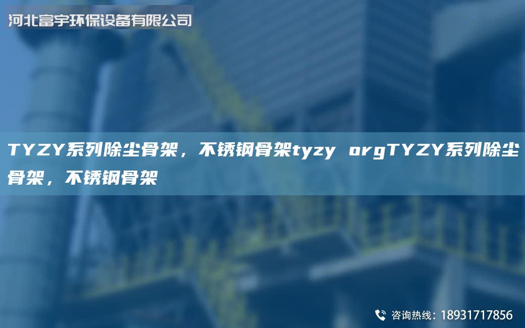 TYZY系列除塵骨架，不銹鋼骨架tyzy orgTYZY系列除塵骨架，不銹鋼骨架
