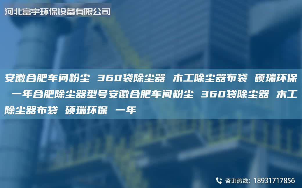 安徽合肥車間粉塵 360袋除塵器 木工除塵器布袋 碩瑞環(huán)保 一年合肥除塵器型號安徽合肥車間粉塵 360袋除塵器 木工除塵器布袋 碩瑞環(huán)保 一年
