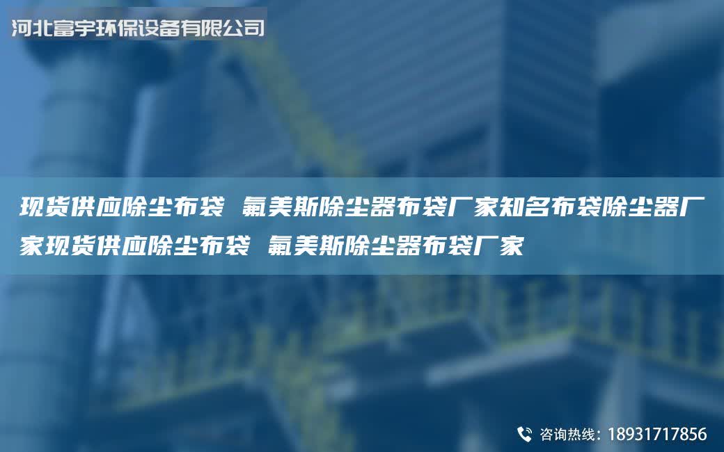 現貨供應除塵布袋 氟美斯除塵器布袋廠家知M布袋除塵器廠家現貨供應除塵布袋 氟美斯除塵器布袋廠家