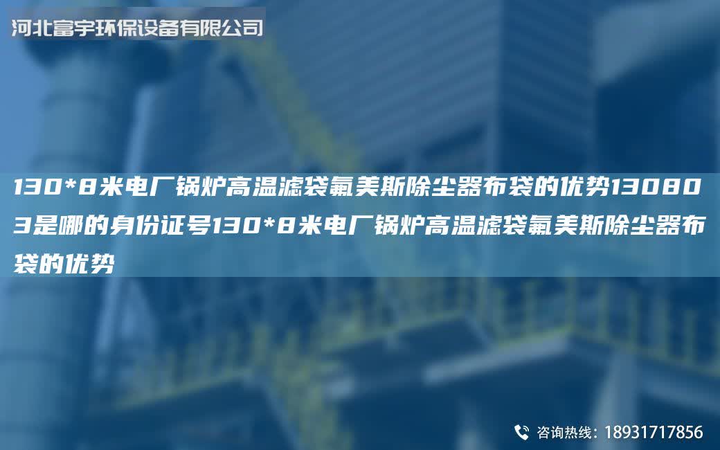 130*8米電廠鍋爐高溫濾袋氟美斯除塵器布袋的優勢130803是哪的身份證號130*8米電廠鍋爐高溫濾袋氟美斯除塵器布袋的優勢
