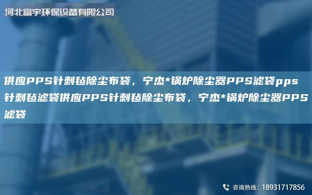 供應PPS針刺氈除塵布袋，寧杰*鍋爐除塵器PPS濾袋pps針刺氈濾袋供應PPS針刺氈除塵布袋，寧杰*鍋爐除塵器PPS濾袋