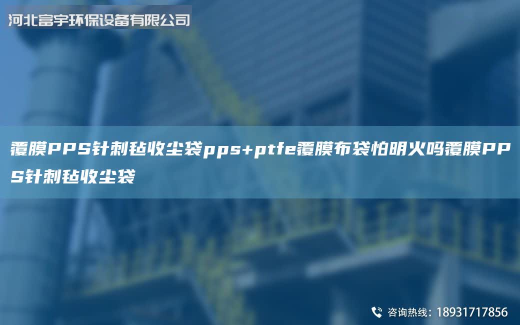 覆膜PPS針刺氈收塵袋pps+ptfe覆膜布袋怕明火嗎覆膜PPS針刺氈收塵袋