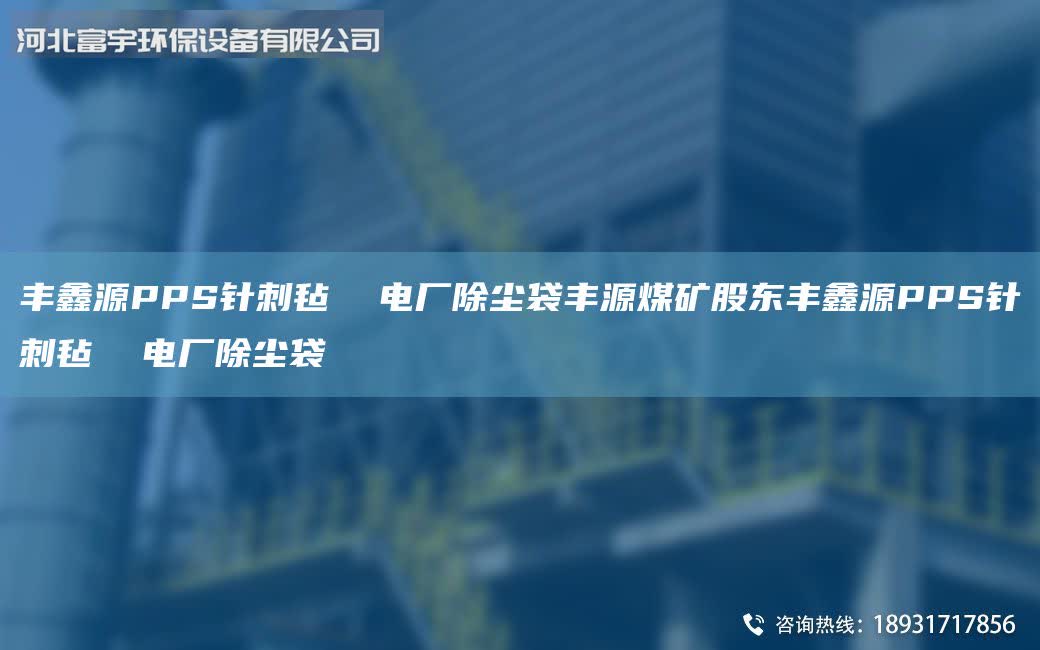 豐鑫源PPS針刺氈  電廠除塵袋豐源煤礦股東豐鑫源PPS針刺氈  電廠除塵袋