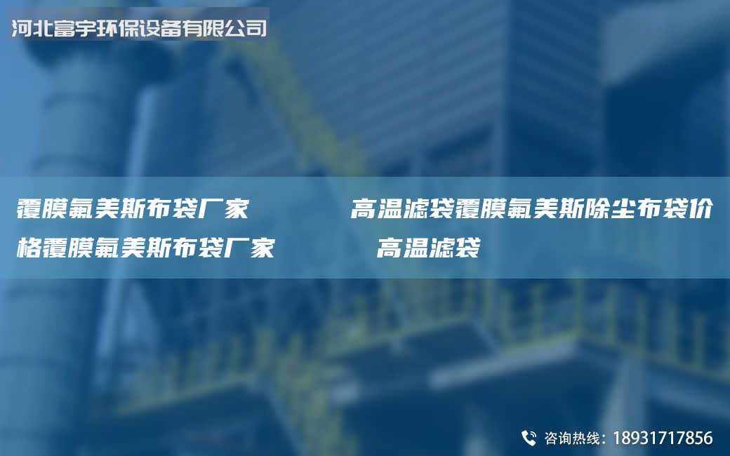 覆膜氟美斯布袋廠家 高溫濾袋覆膜氟美斯除塵布袋價格覆膜氟美斯布袋廠家 高溫濾袋