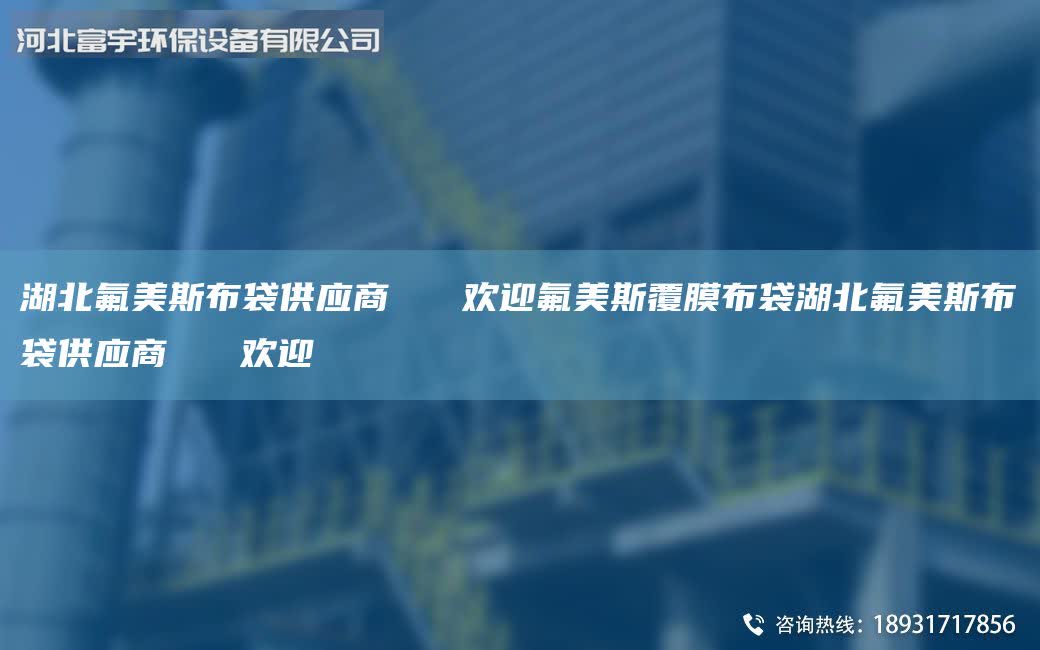 湖北氟美斯布袋供應商 歡迎氟美斯覆膜布袋湖北氟美斯布袋供應商 歡迎
