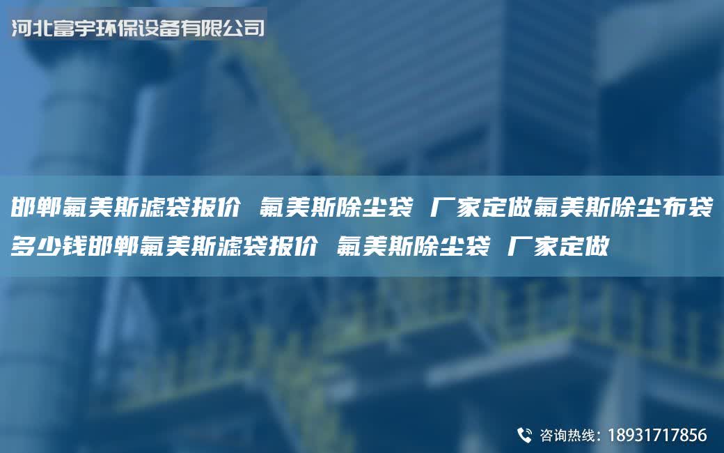 邯鄲氟美斯濾袋報價 氟美斯除塵袋 廠家定做氟美斯除塵布袋多少錢邯鄲氟美斯濾袋報價 氟美斯除塵袋 廠家定做