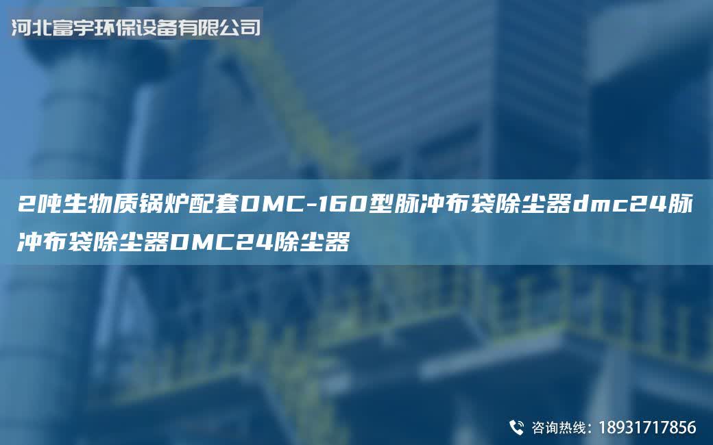 2噸生物質鍋爐配套DMC-160型脈沖布袋除塵器dmc24脈沖布袋除塵器DMC24除塵器