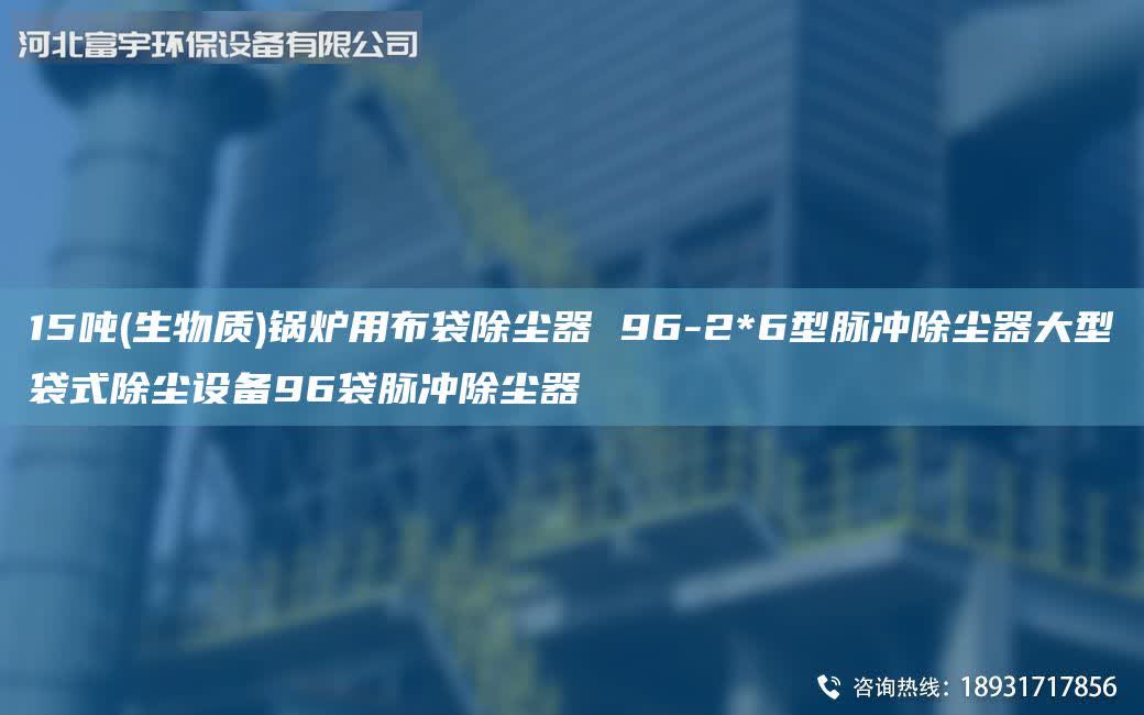 15噸(生物質)鍋爐用布袋除塵器 96-2*6型脈沖除塵器大型袋式除塵設備96袋脈沖除塵器
