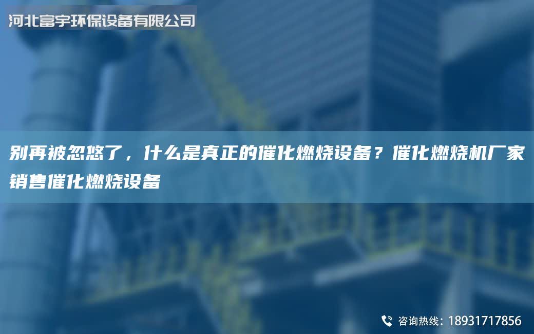 別再被忽悠了，什么是真正的催化燃燒設備？催化燃燒機廠家銷售催化燃燒設備