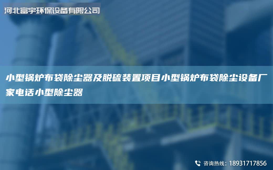 小型鍋爐布袋除塵器及脫硫裝置項目小型鍋爐布袋除塵設備廠家電話小型除塵器