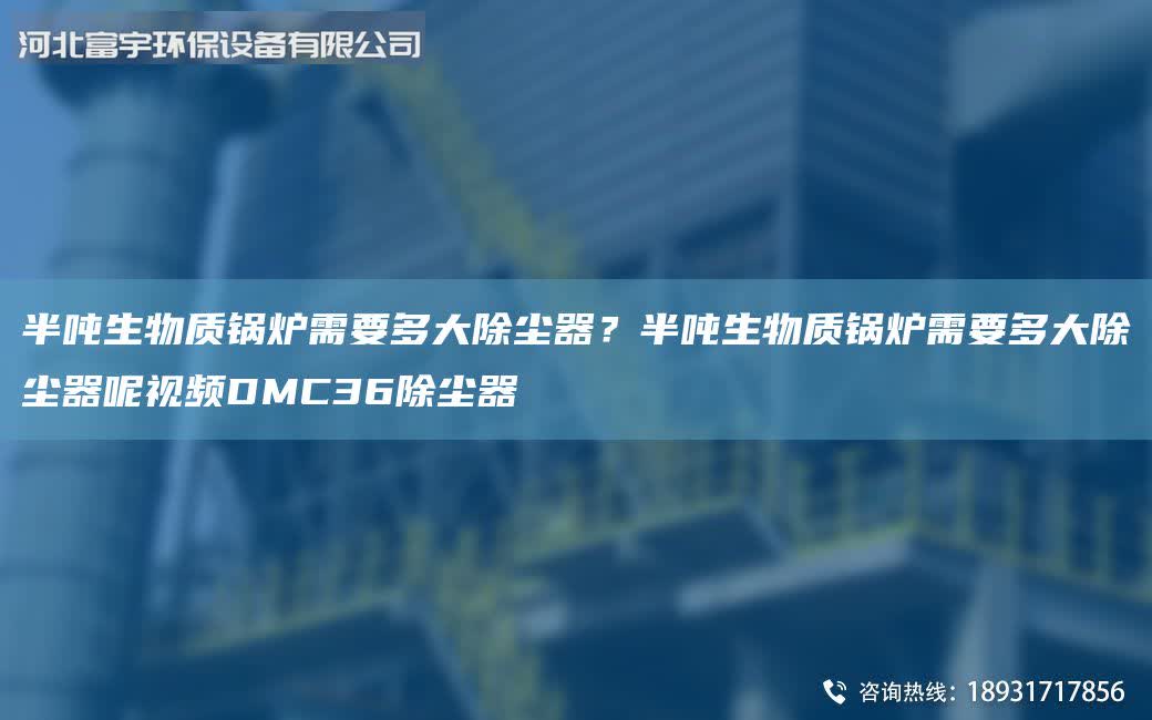 半噸生物質鍋爐需要多大除塵器？半噸生物質鍋爐需要多大除塵器呢視頻DMC36除塵器