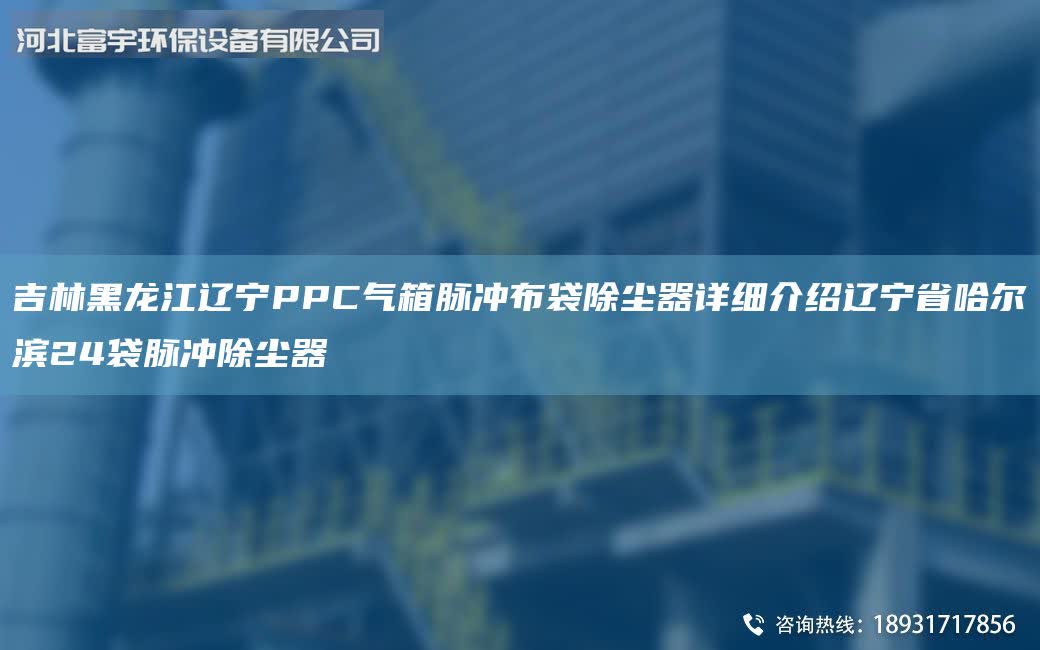 吉林黑龍江遼寧PPC氣箱脈沖布袋除塵器詳細介紹遼寧省哈爾濱24袋脈沖除塵器