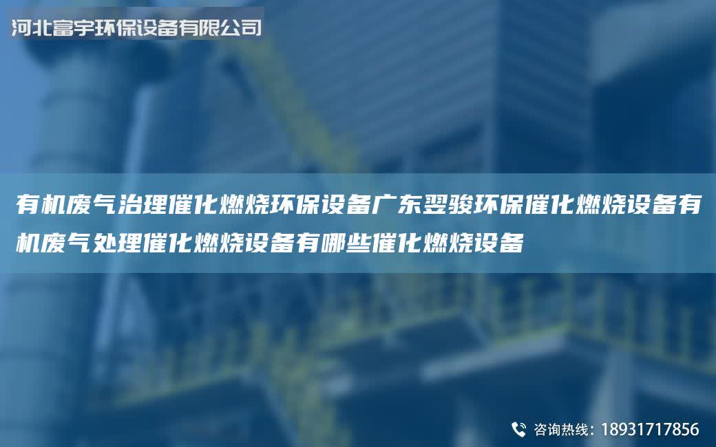 有機廢氣治理催化燃燒環保設備廣東翌駿環保催化燃燒設備有機廢氣處理催化燃燒設備有哪些催化燃燒設備
