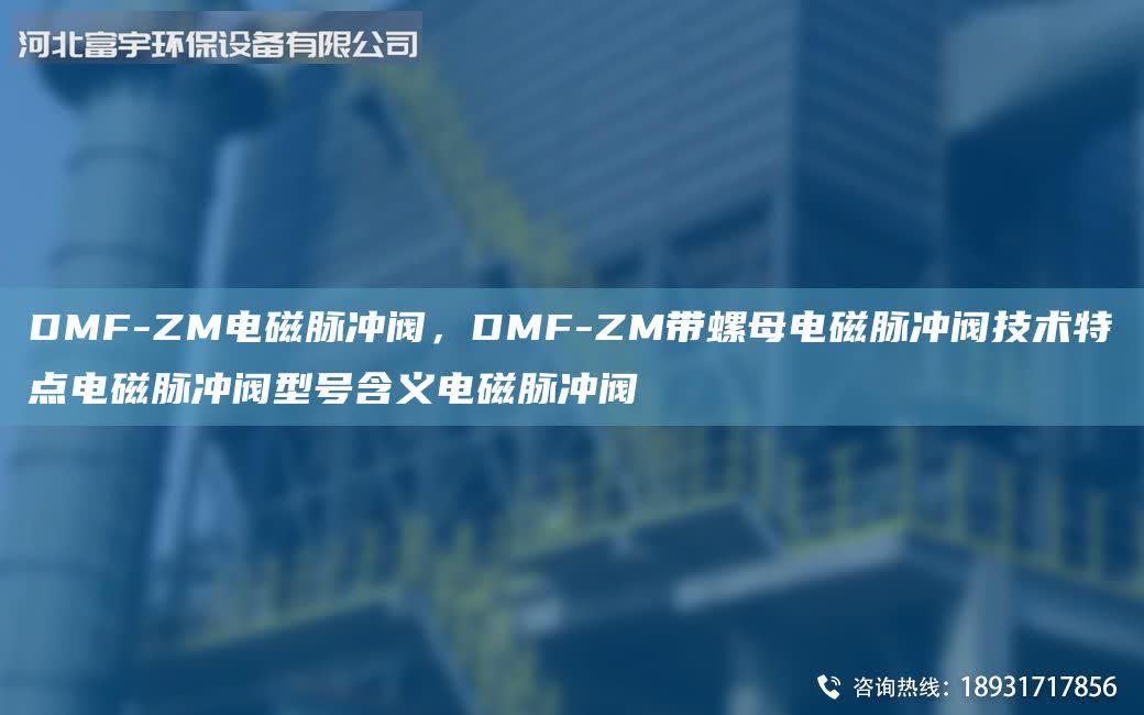 DMF-ZM電磁脈沖閥，DMF-ZM帶螺母電磁脈沖閥技術(shù)特點電磁脈沖閥型號含義電磁脈沖閥