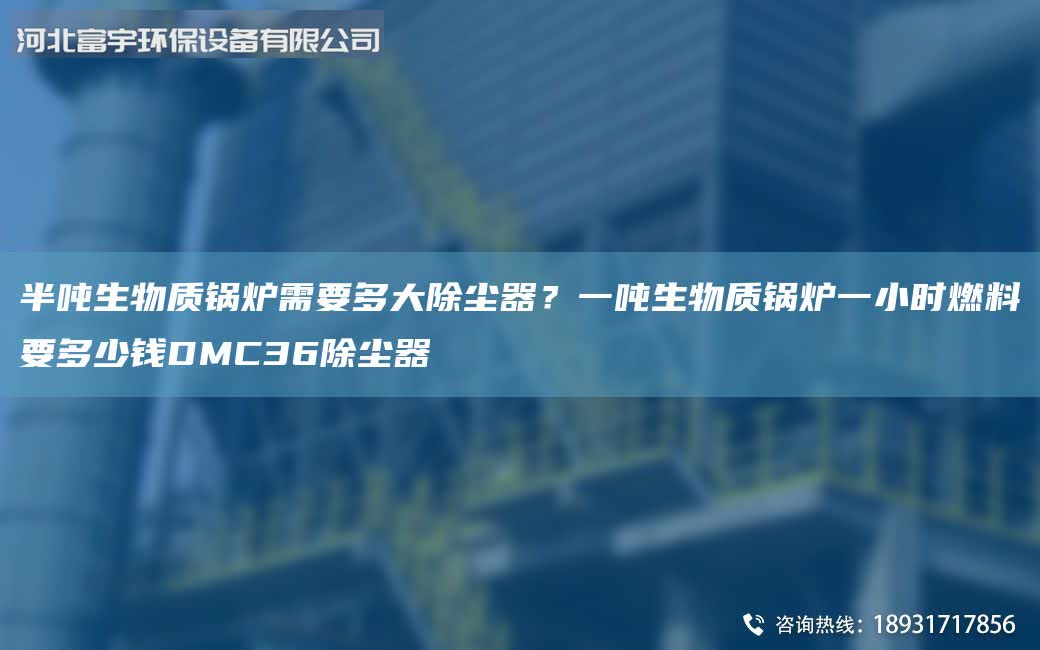 半噸生物質鍋爐需要多大除塵器？一噸生物質鍋爐一小時燃料要多少錢DMC36除塵器