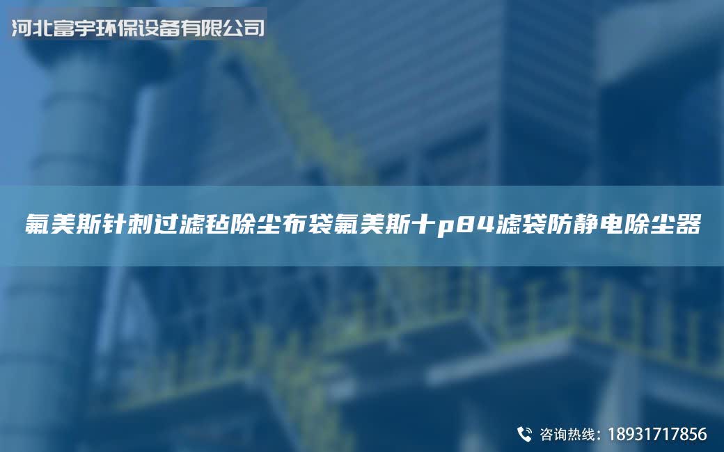 氟美斯針刺過濾氈除塵布袋氟美斯十p84濾袋防靜電除塵器