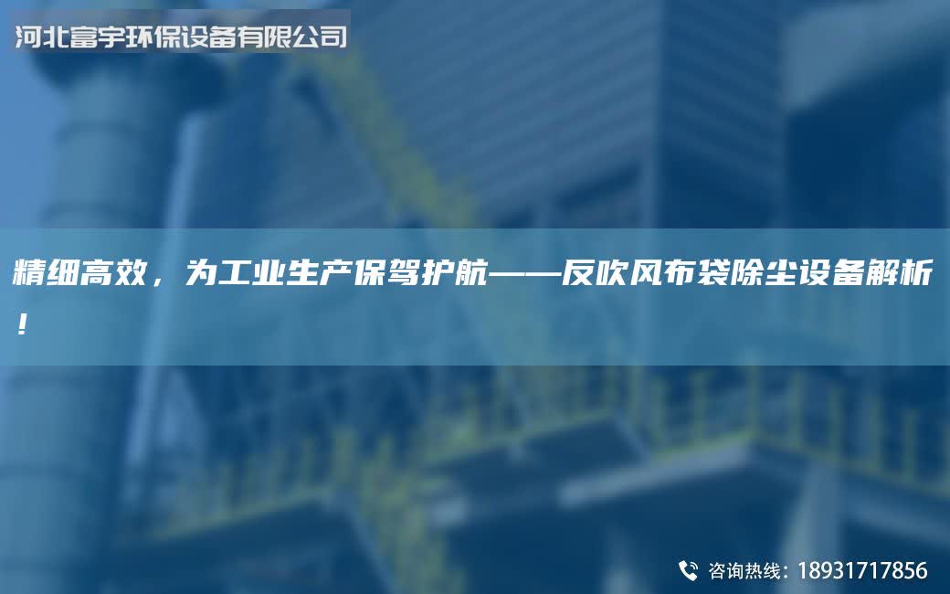 精細(xì)高效，為工業(yè)生產(chǎn)保駕護(hù)航——反吹風(fēng)布袋除塵設(shè)備解析！