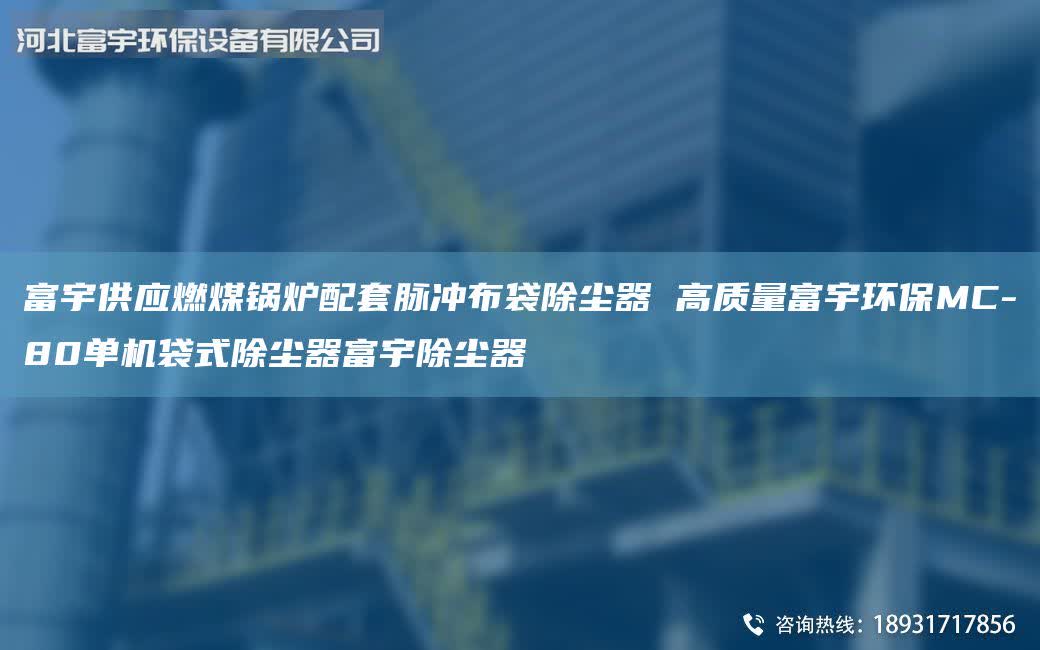富宇供應燃煤鍋爐配套脈沖布袋除塵器 高質量富宇環保MC-80單機袋式除塵器富宇除塵器