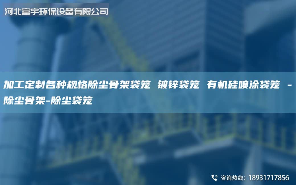 加工定制各種規(guī)格除塵骨架袋籠 鍍鋅袋籠 有機(jī)硅噴涂袋籠 -除塵骨架-除塵袋籠