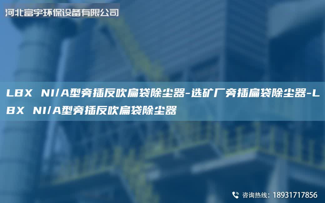 LBX NI/A型旁插反吹扁袋除塵器-選礦廠旁插扁袋除塵器-LBX NI/A型旁插反吹扁袋除塵器