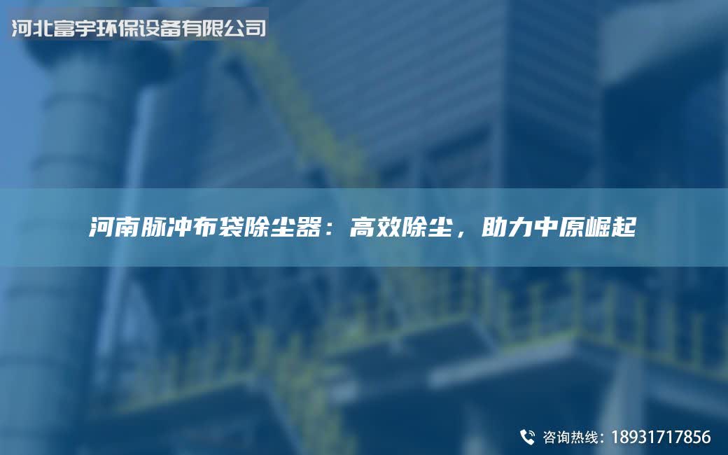 河南脈沖布袋除塵器：高效除塵，助力中原崛起