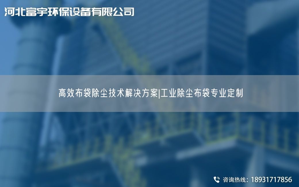 高效布袋除塵技術(shù)解決方案|工業(yè)除塵布袋專業(yè)定制