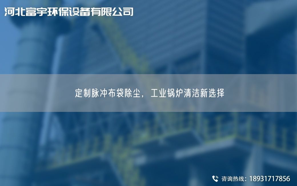 定制脈沖布袋除塵，工業鍋爐清潔新選擇